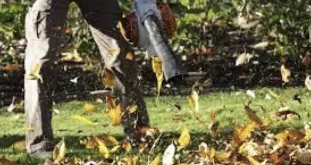 Local outdoor landscaping in Wake Forest, NC by Executive Service Contractors