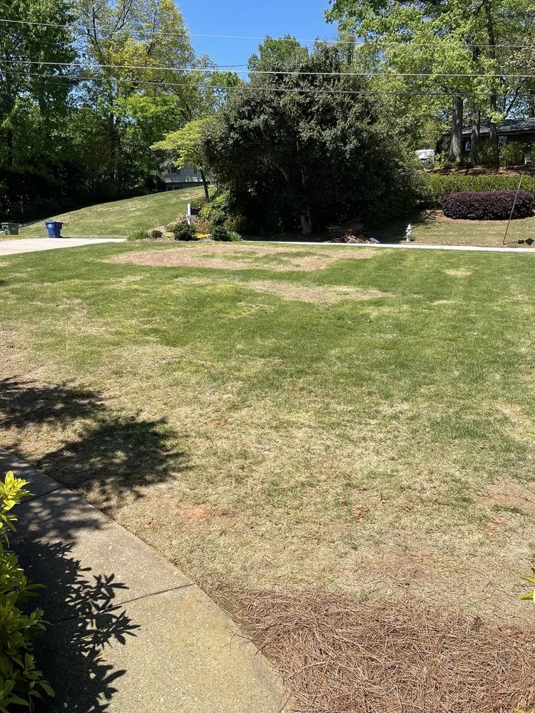 Custom garden landscaping experts serving Lawrenceville, GA - Executive Turf Care