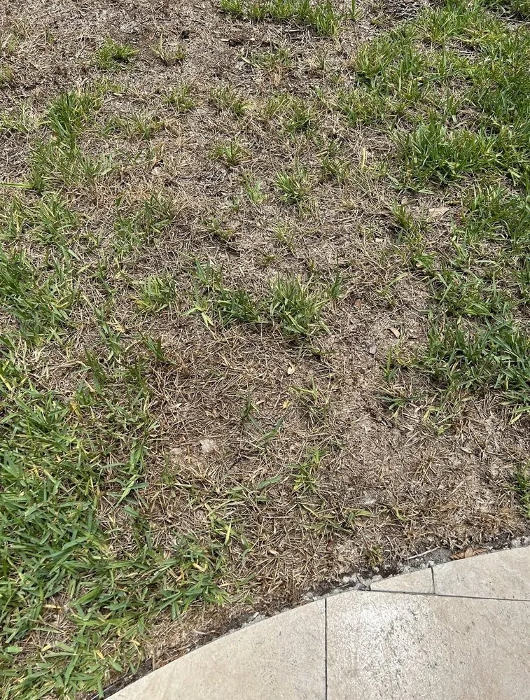 Reliable residential landscaping for outdoor upgrades across Pinellas Park, FL - Executive Turf Management