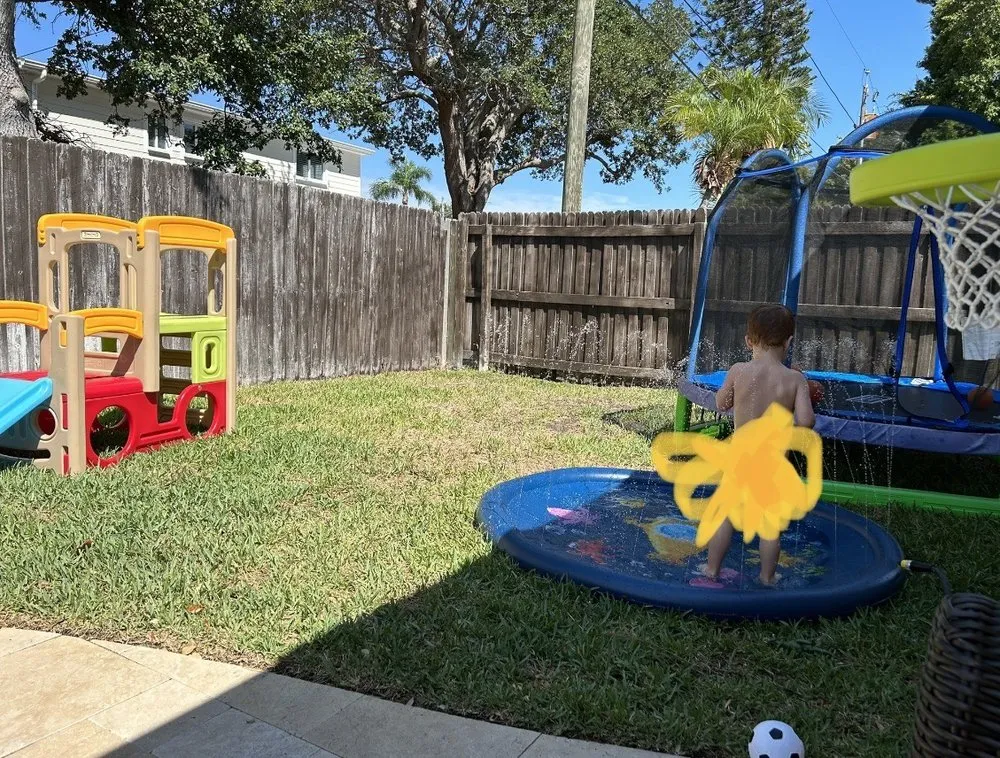 Local landscaping services experts serving Pinellas Park, FL - Executive Turf Management