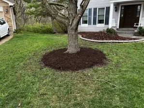 Top-rated lawn care service in Winfield, MO - Executive YardScapes Lawn & Landscape Solutions