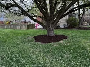 Expert garden landscaping in Winfield, MO by Executive YardScapes Lawn & Landscape Solutions