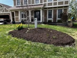 Top-rated yard cleanup service for year-round maintenance in Winfield, MO by Executive YardScapes Lawn & Landscape Solutions