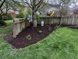 Reliable lawn care service for beautiful yards across Winfield, MO - Executive YardScapes Lawn & Landscape Solutions