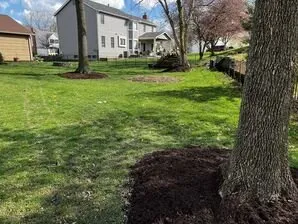 Expert garden landscaping in Winfield, MO - Executive YardScapes Lawn & Landscape Solutions