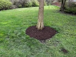 Affordable residential landscaping in Winfield, MO by Executive YardScapes Lawn & Landscape Solutions