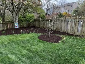 Trusted lawn mowing service for year-round maintenance in Winfield, MO by Executive YardScapes Lawn & Landscape Solutions