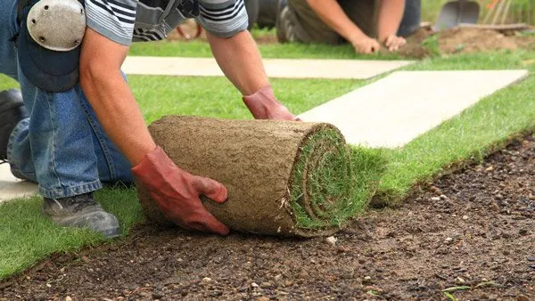 Affordable outdoor landscaping for beautiful yards in Marietta, GA by Exiga's Company