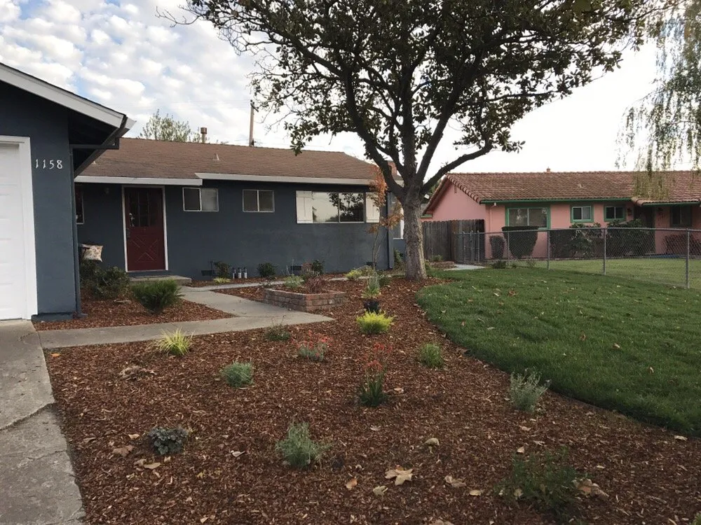 Professional lawn mowing service for year-round maintenance across Palo Alto, CA - Eximius Landscaping