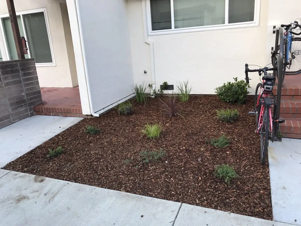 Professional landscape design in Palo Alto, CA - Eximius Landscaping