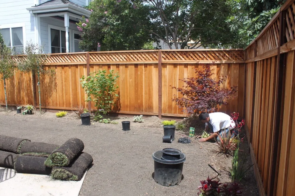 Top-rated lawn mowing service in Palo Alto, CA - Eximius Landscaping