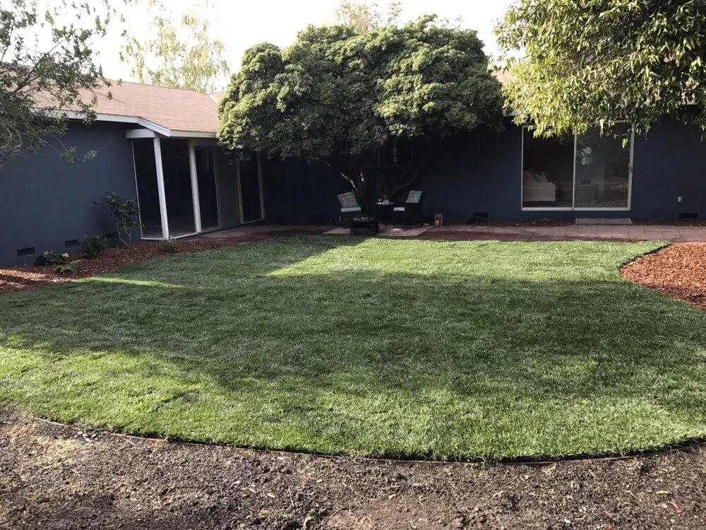 Custom yard maintenance in Palo Alto, CA - Eximius Landscaping