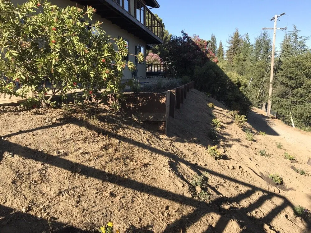 Local lawn care service for year-round maintenance across Palo Alto, CA - Eximius Landscaping