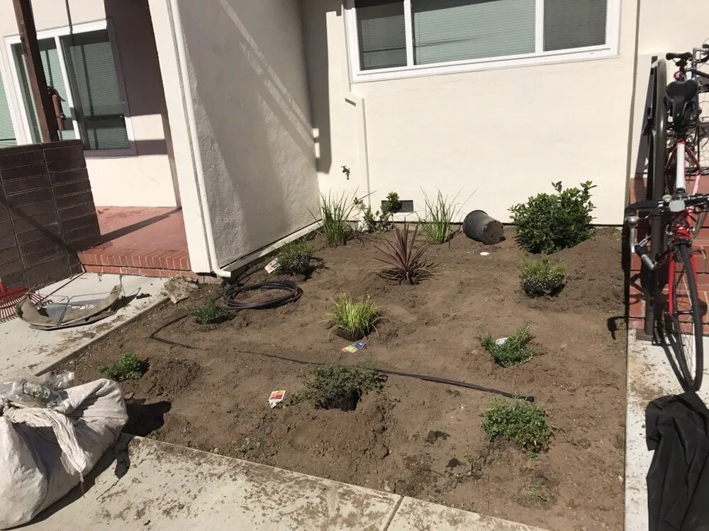 Expert lawn mowing service for homes across Palo Alto, CA - Eximius Landscaping