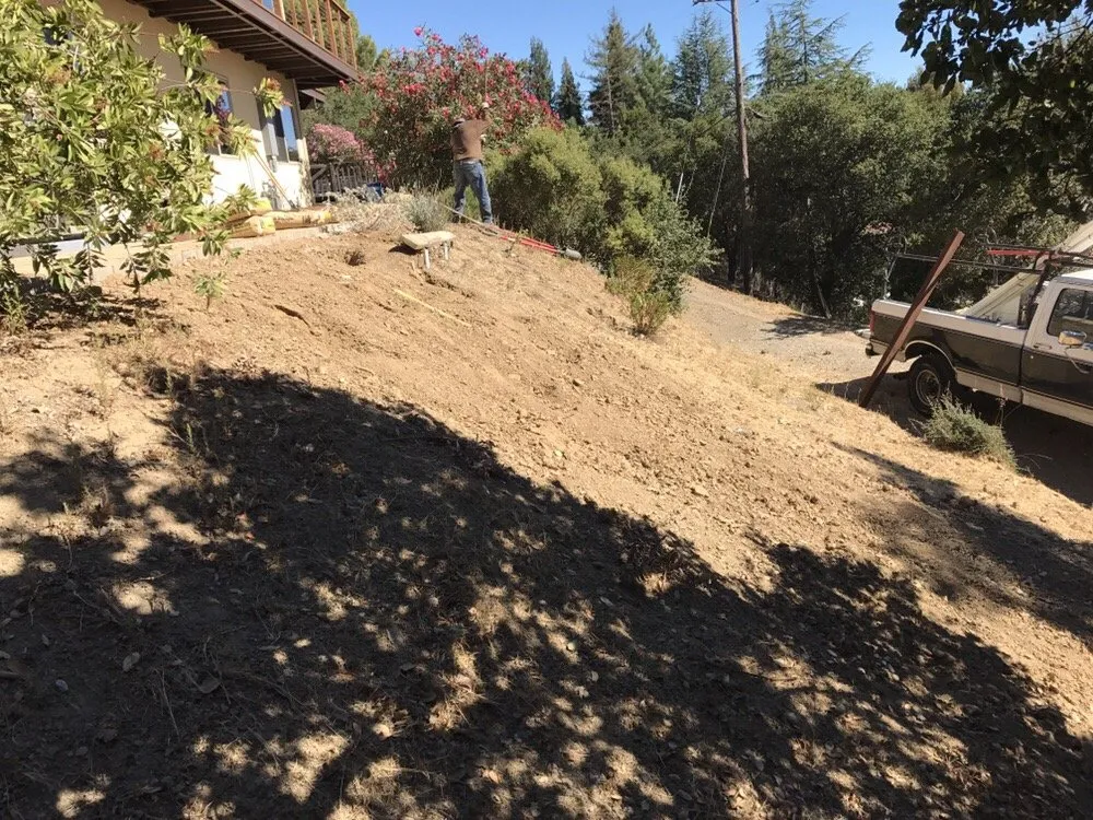 Local landscaping services experts serving Palo Alto, CA - Eximius Landscaping