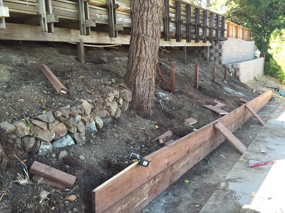 Top-rated garden landscaping for year-round maintenance across Palo Alto, CA - Eximius Landscaping