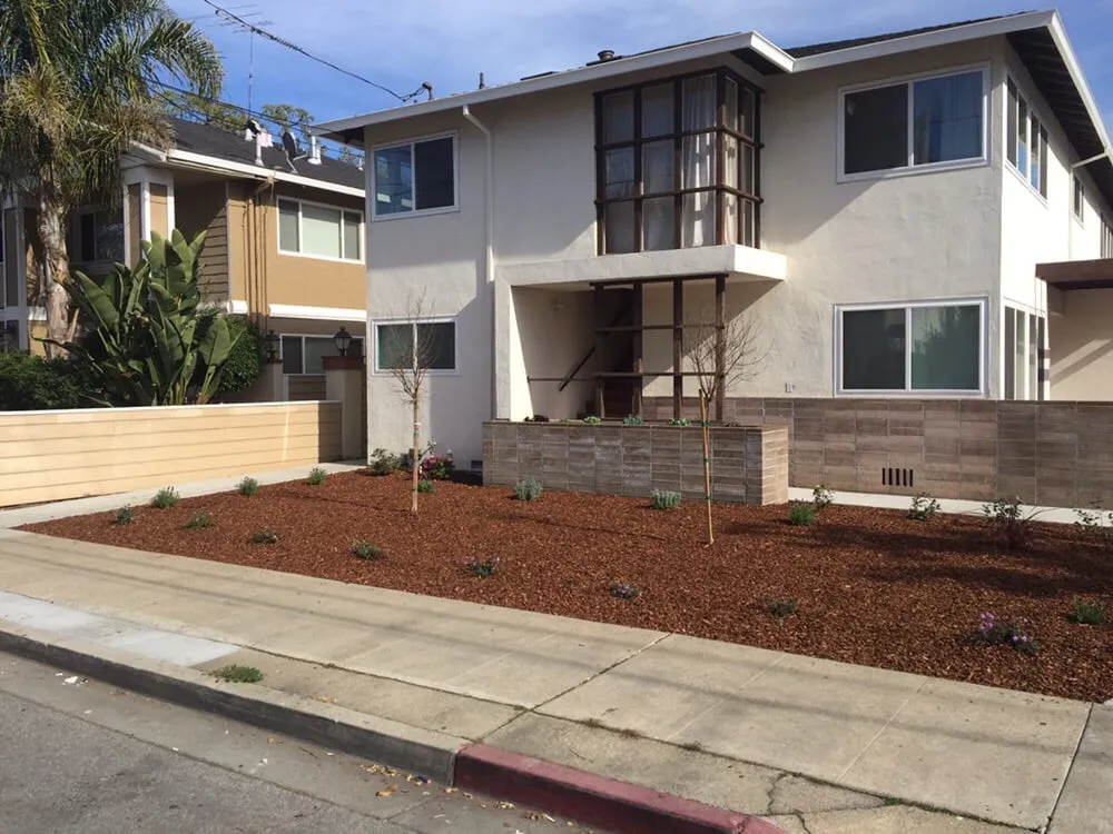 Custom yard cleanup service in Palo Alto, CA - Eximius Landscaping