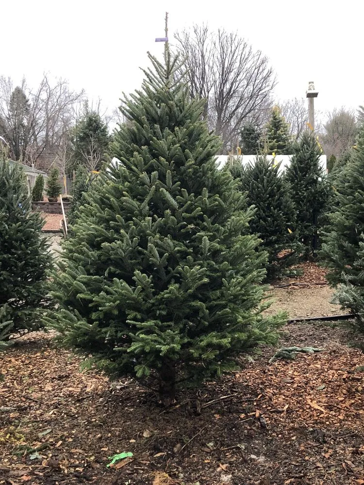 Expert yard maintenance experts serving Sewell, NJ - Exley's Landscape Service