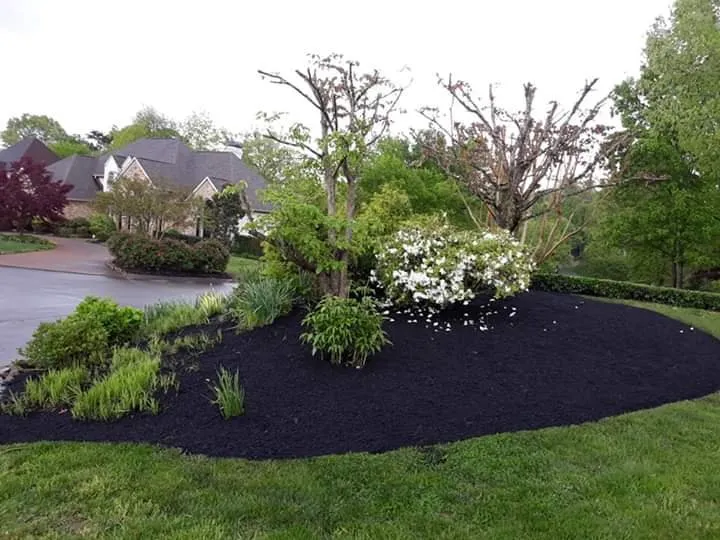 Top-rated landscape installation experts serving CONCORD FARR, TN - Exodus Landscaping