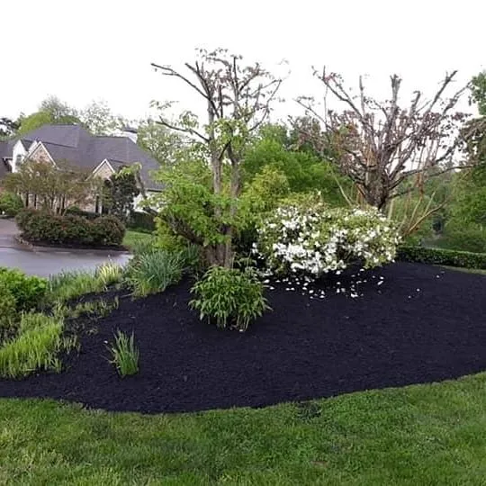 Custom garden landscaping for residential properties across CONCORD FARR, TN - Exodus Landscaping