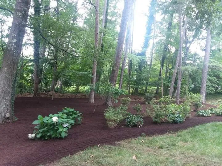 Local outdoor landscaping experts serving CONCORD FARR, TN - Exodus Landscaping