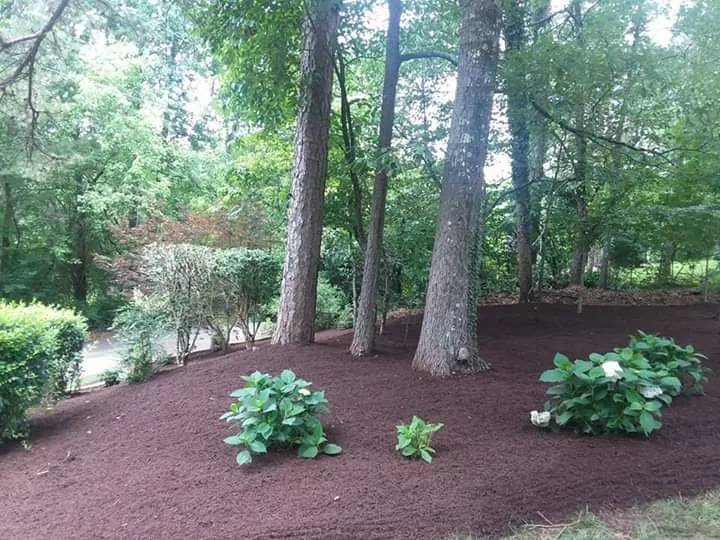 Trusted yard maintenance in CONCORD FARR, TN - Exodus Landscaping