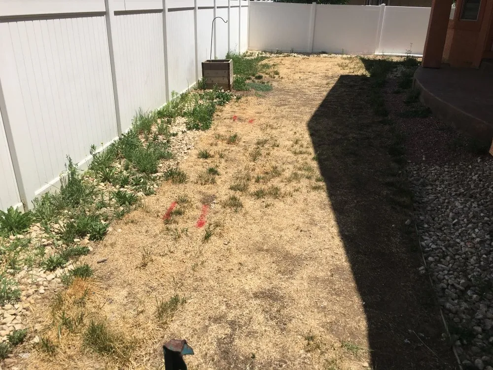 Custom landscaping services in Pueblo, CO by Exodus Restoration