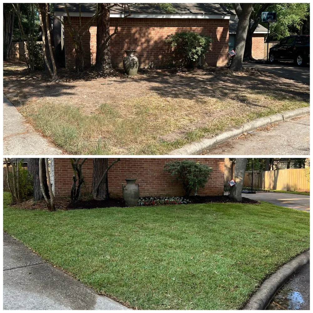 Reliable yard maintenance in Spring, TX - Exoservices