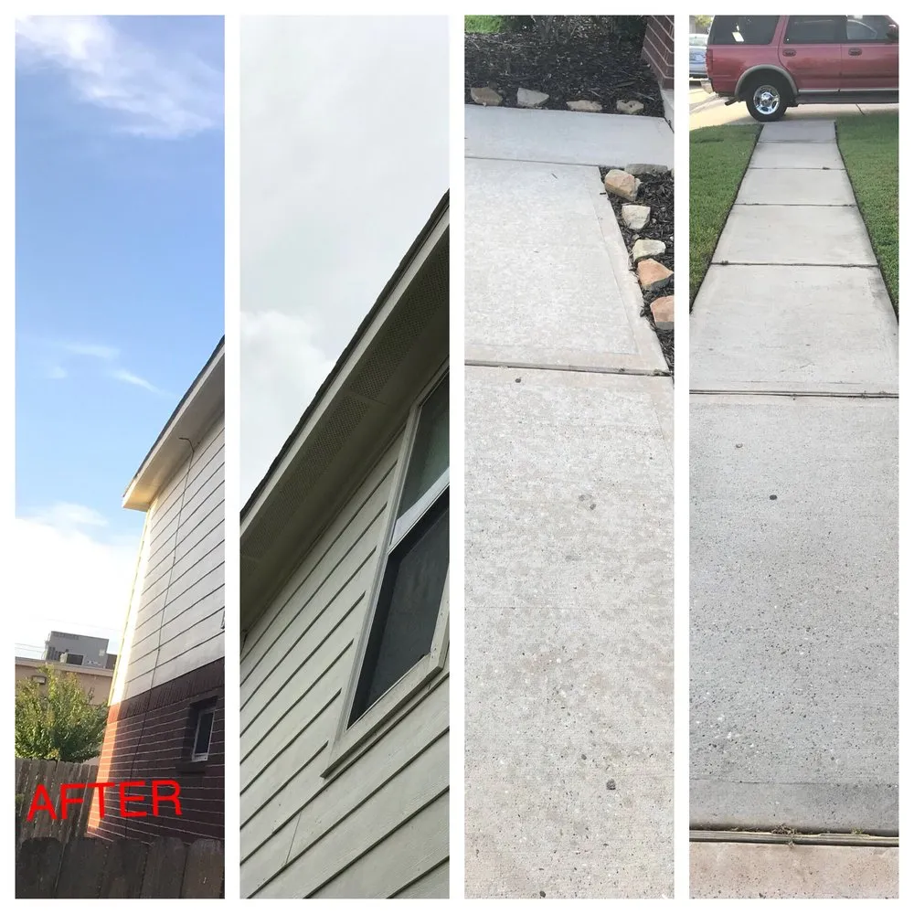 Reliable landscaping services in Spring, TX by Exoservices