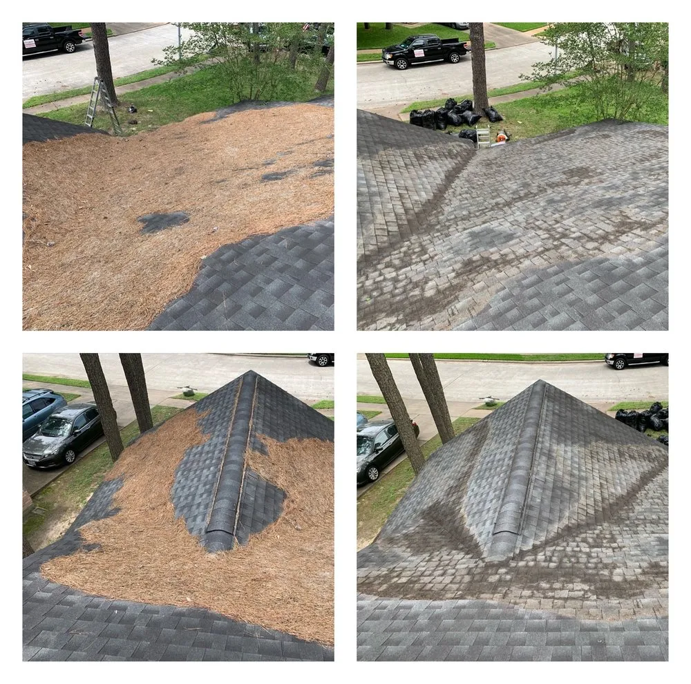 Reliable lawn care service for homes across Spring, TX - Exoservices