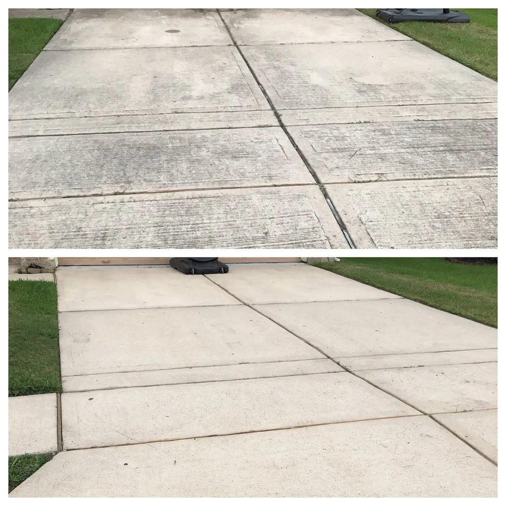 Reliable yard cleanup service in Spring, TX - Exoservices