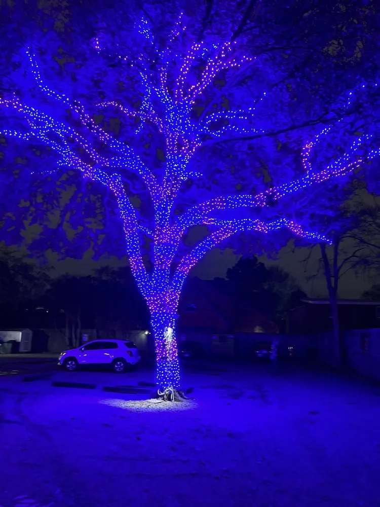 Custom lawn mowing service for residential properties across Spring, TX - Exoservices