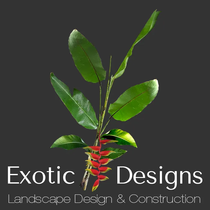 Custom landscape design with custom design across New Smyrna Beach, FL - Exotic designs landscaping