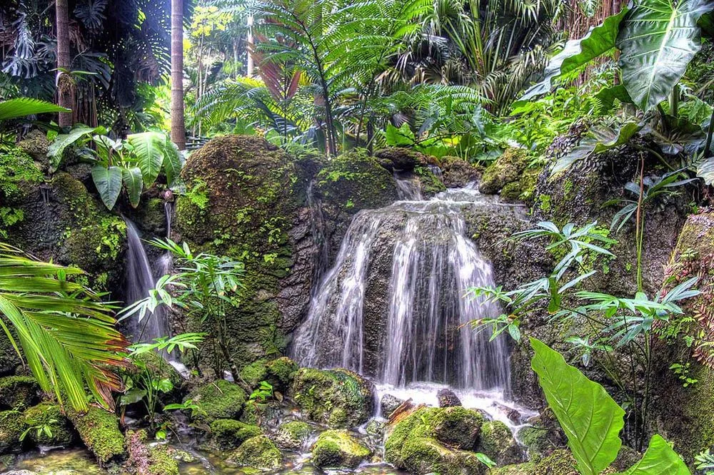 Custom lawn mowing service experts serving New Smyrna Beach, FL - Exotic designs landscaping