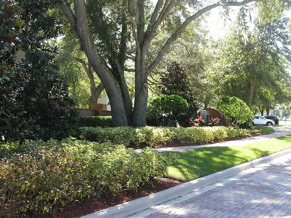 Custom yard maintenance in New Smyrna Beach, FL by Exotic designs landscaping