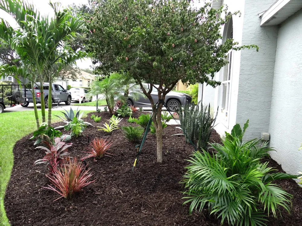Custom lawn care service experts serving Bradenton, FL - Exotic Gardens Landscaping & Beyond