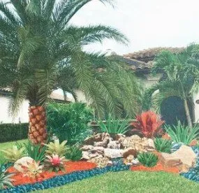 Local lawn care service in Bradenton, FL - Exotic Gardens Landscaping & Beyond