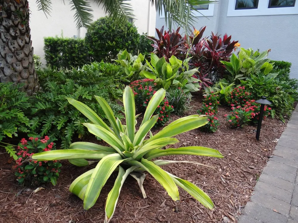 Professional residential landscaping in Bradenton, FL by Exotic Gardens Landscaping & Beyond