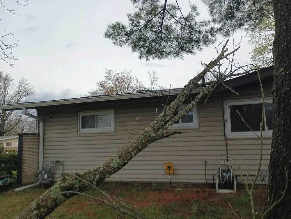 Affordable landscaping services experts serving Cincinnati, OH - Exotic Kutz Lawn Service