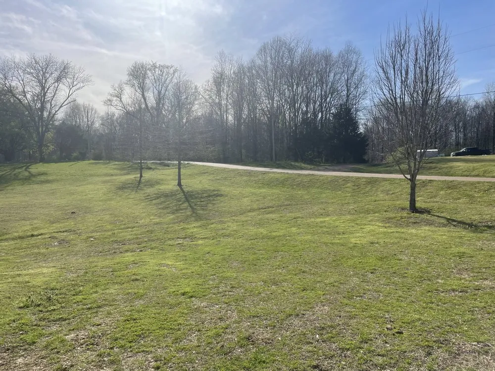 Local garden landscaping in Coldwater, MS - Exotic landscaping