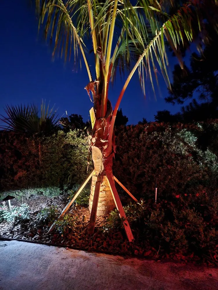 Professional outdoor landscaping with custom design across Orlando, FL - Exotic Landscaping Design