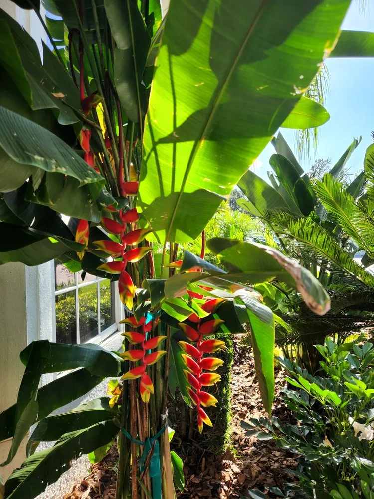 Reliable landscape installation in Orlando, FL - Exotic Landscaping Design