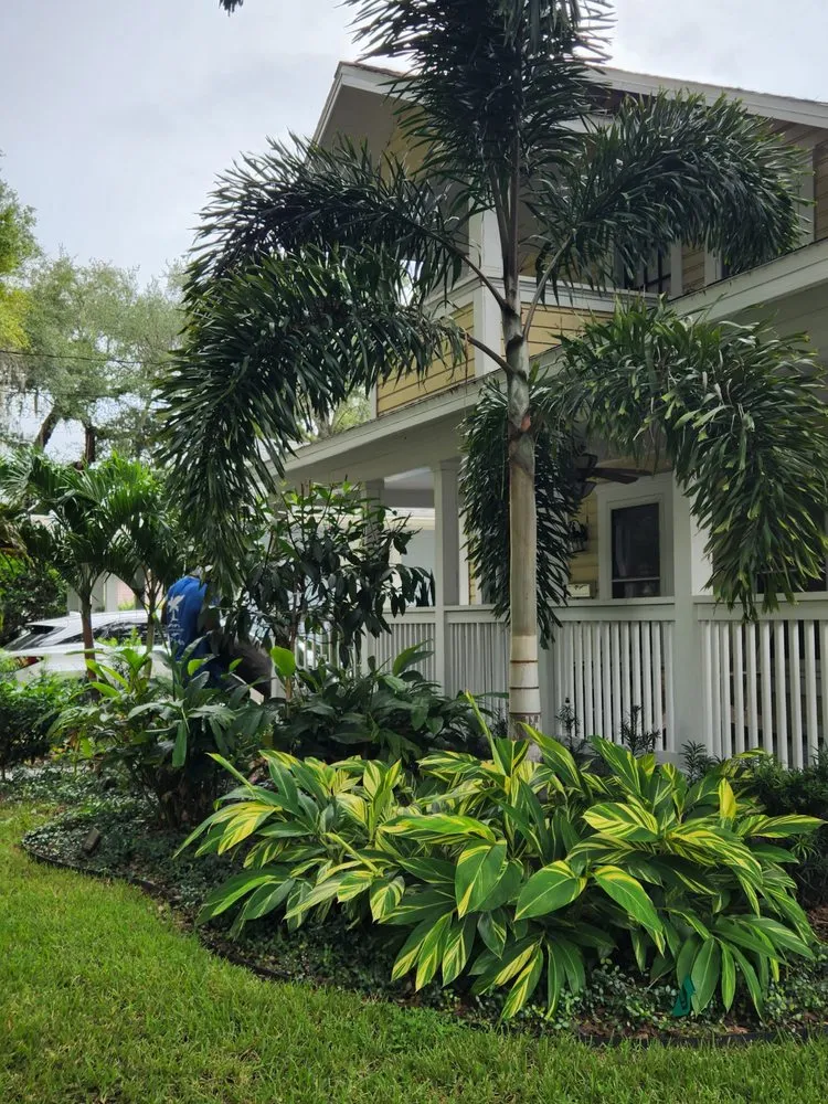 Reliable yard maintenance in Orlando, FL by Exotic Landscaping Design