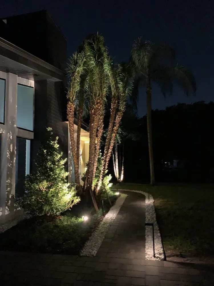 Custom yard cleanup service in Orlando, FL - Exotic Landscaping Design