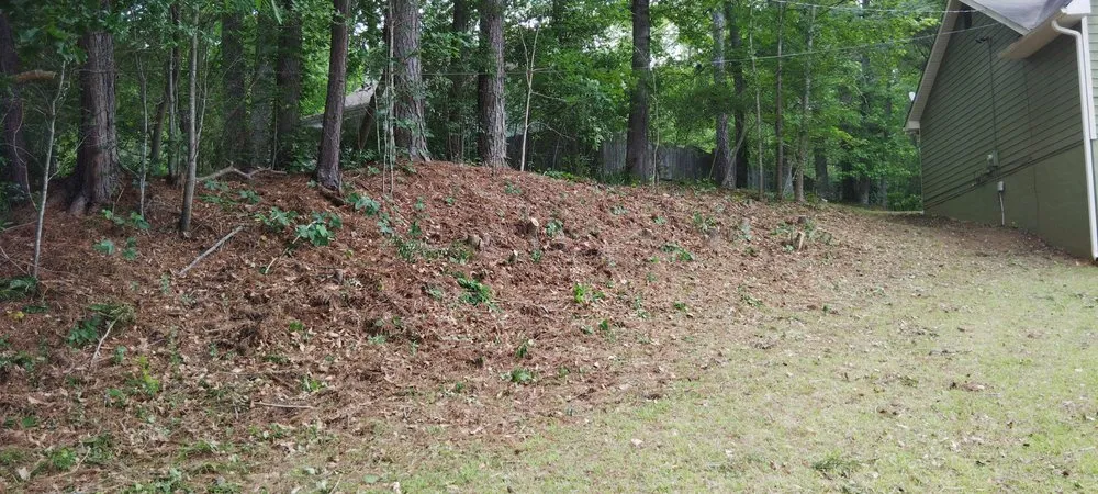 Professional lawn care service in Jonesboro, GA - Exotic Landscaping