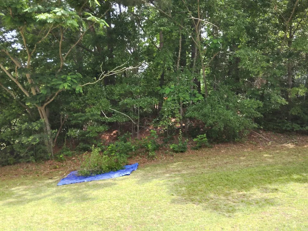 Reliable landscape design for residential properties in Jonesboro, GA by Exotic Landscaping