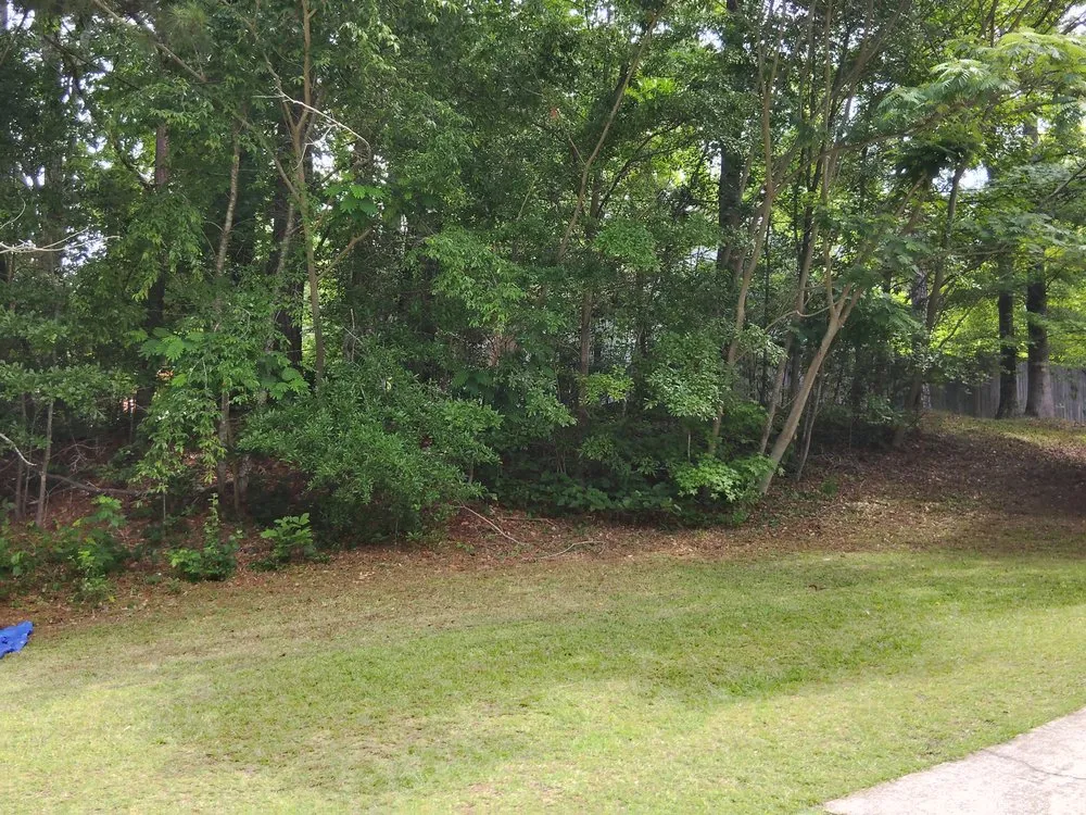 Trusted outdoor landscaping in Jonesboro, GA - Exotic Landscaping