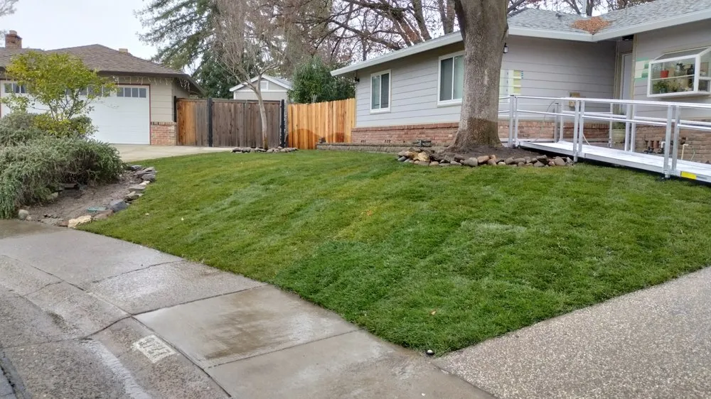 Top-rated yard cleanup service for outdoor upgrades across Sacramento, CA - Exotic Landscaping Pros