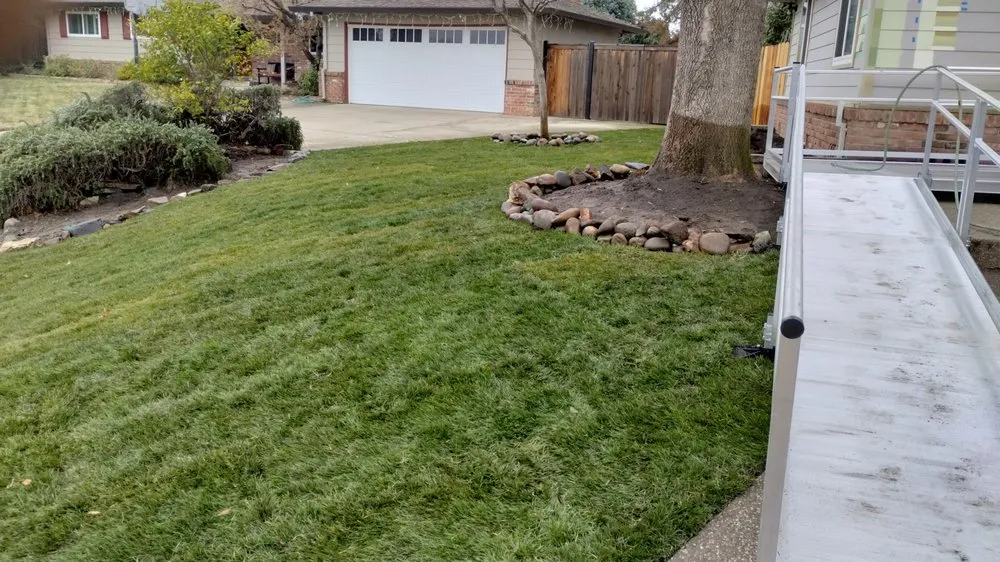 Professional landscaping services in Sacramento, CA - Exotic Landscaping Pros