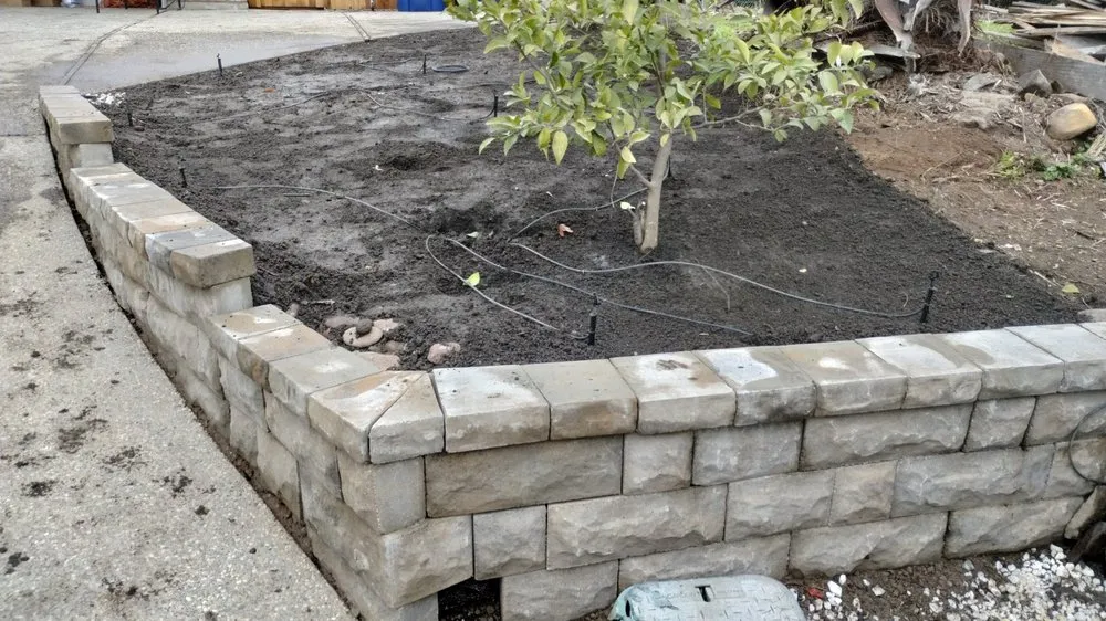 Custom lawn care service for residential properties in Sacramento, CA by Exotic Landscaping Pros